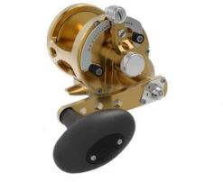 Avet MXL G2 5.8 MC Single Speed Reel Gold