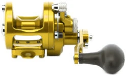 Avet SX 6/4 MC Raptor 2-Speed Lever Drag Casting Reel Gold 5 Avet SX 6/4 MC Raptor 2-Speed Lever Drag Casting Reel Gold -Daiwa Sales Store avet sx 64 raptor 2 speed lever drag casting reel gold 76943.1650992085