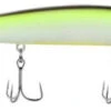 Berkley Stunna Jerkbait