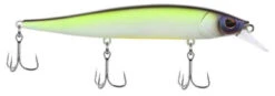 Berkley Stunna Jerkbait