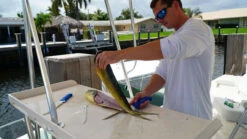 Dexter-Russell Guy Harvey GH133-8 8in Flexible Fillet Knife -Daiwa Sales Store dexter russell guy harvey gh133 8 8 flexible fillet knife 63032.1665240883