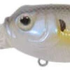 Duckett Fishing BD Sculpo DR Crankbait - Lavender Shad