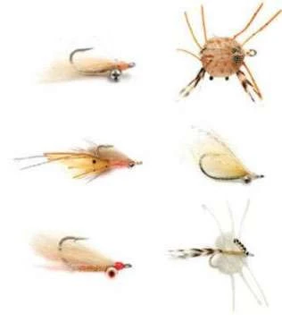 Fulling Mill Tropics Selection 1 Fulling Mill Tropics Selection