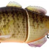 Jackall Gantarel Swimbait - RT Bluegill