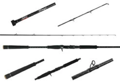Jigging World Onyx Inshore Rods -Daiwa Sales Store jigging world onyx inshore rods 14529.1680784554