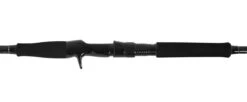 Jigging World Onyx Inshore Rods -Daiwa Sales Store jigging world onyx inshore rods 22780.1680784555