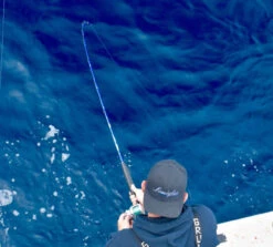 Lamiglas Bluewater Series Rods -Daiwa Sales Store lamiglas bluewater series rods 05107.1651112013