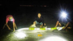 Land Shark Release Ruler 6 Land Shark Release Ruler -Daiwa Sales Store land shark release ruler 11725.1651112068