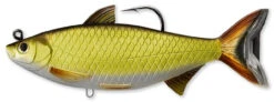 LIVETARGET Golden Shiner Swimbait 5 LIVETARGET Golden Shiner Swimbait -Daiwa Sales Store livetarget golden shiner swimbait 98788.1651149689