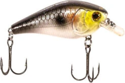 Luck-E-Strike RC2 Series 3 Squarebill Crankbait - Gold Head Shiner
