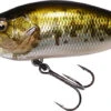 Megabass Deep-X 100 LBO Crankbaits