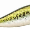 Megabass PopX Top Water Popper