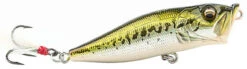 Megabass PopX Top Water Popper