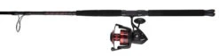Penn FRCIII8000102H Fierce III Spinning Combo 6 Penn FRCIII8000102H Fierce III Spinning Combo -Daiwa Sales Store penn frciii8000102h fierce iii spinning combo 93197.1651244507