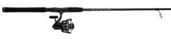 Penn PURIII6000701MH Pursuit III Spinning Combo -Daiwa Sales Store penn puriii6000701mh pursuit iii spinning combo 99852.1651266676