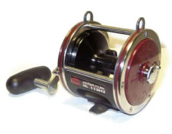Penn Special Senator H2 Reels -Daiwa Sales Store penn special senator h2 reels 34708.1650814942