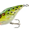 Rebel P205 PopN Frog Leopard Frog