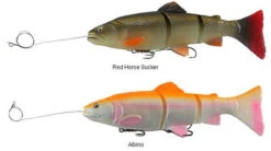 Best Seller -Daiwa Sales Store savage gear pre rigged 3d line thru trout lures 89082.1650821678
