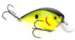 Strike King KVD Square Bill Crankbait 2.5 -Daiwa Sales Store strike king hckvd kvd square bill crankbait 01245.1651321789