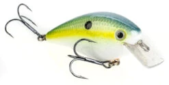 Strike King KVD Square Bill Crankbait 2.5 -Daiwa Sales Store strike king hckvd kvd square bill crankbait 92677.1651321790