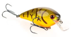 Strike King KVD Square Bill Crankbait 2.5 -Daiwa Sales Store strike king hckvd kvd square bill crankbait 92703.1651321790