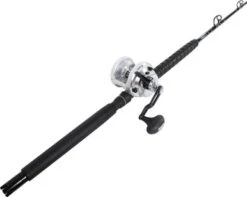 Shimano Talica TAC20BFC / TackleDirect Platinum Hook White Marlin Combo