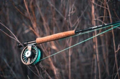 Temple Fork Outfitters NXT Black Label Fly Rod Kit -Daiwa Sales Store temple fork outfitters nxt black label fly rod kit 61340.1668781819