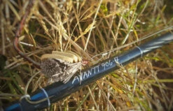 Thomas & Thomas Avantt Series Fly Rods -Daiwa Sales Store thomas thomas avantt series fly rods 92418.1651330433