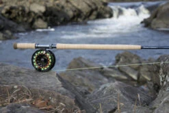 Thomas & Thomas DNA Spey Series Fly Rods -Daiwa Sales Store thomas thomas dna spey series fly rods 81366.1651330444