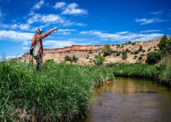 Thomas & Thomas Lotic Series Fly Rods -Daiwa Sales Store thomas thomas lotic series fly rods 43205.1651330459