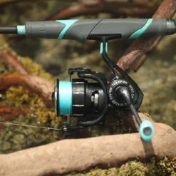 Toadfish Elite Carbon Series Spinning Reels 7 Toadfish Elite Carbon Series Spinning Reels -Daiwa Sales Store toadfish elite carbon series spinning reels 74110.1665235124