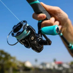 Toadfish Elite Carbon Series Spinning Reels 6 Toadfish Elite Carbon Series Spinning Reels -Daiwa Sales Store toadfish elite carbon series spinning reels 97140.1665235123