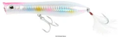 Tsunami XD Talkin Popper Lures -Daiwa Sales Store tsunami xd talkin popper lures 61340.1651332736